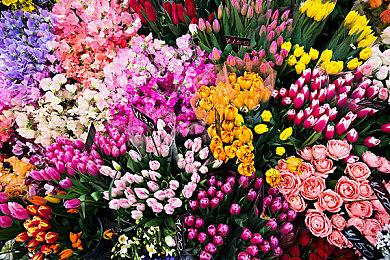 《艾尔登法环》制作人：黄金树之影DLC仍需等待