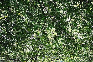 小岛：2023年将正式公布一个全新作