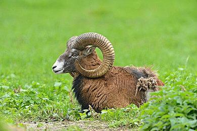 《战地2042》制作人：第六赛季将给玩家带来惊喜